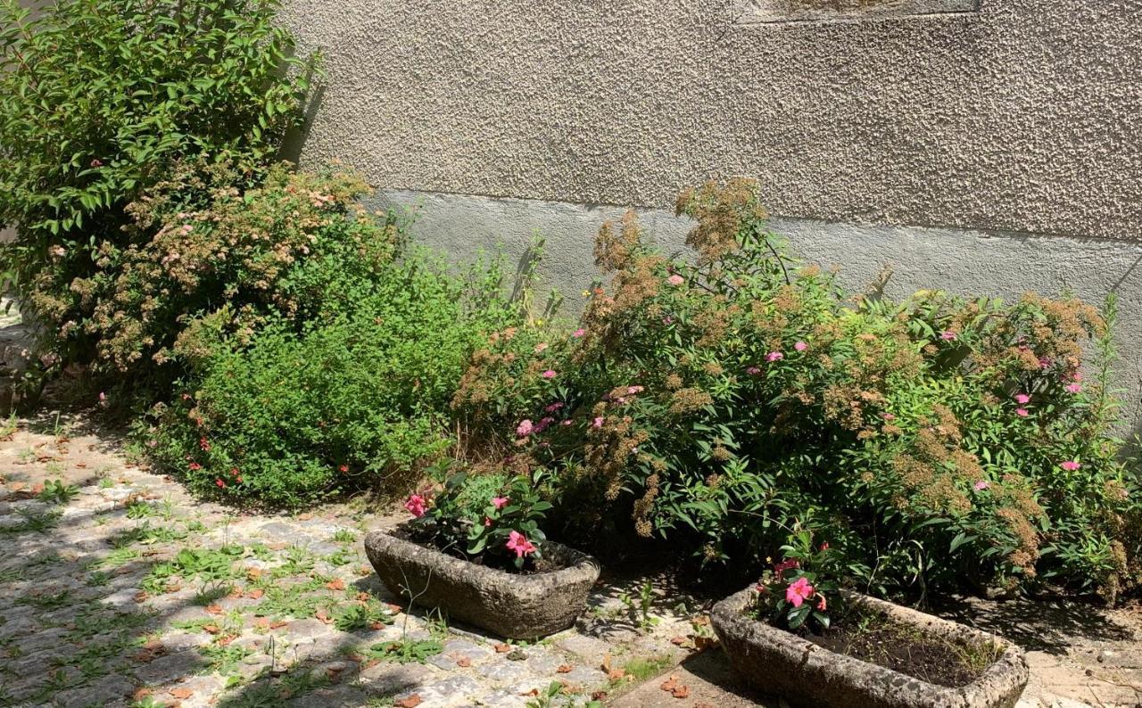 La Cour Pavee, T2 Lumineux, Cosy, Confort 55 M2 Saint-Léonard-de-Noblat 외부 사진